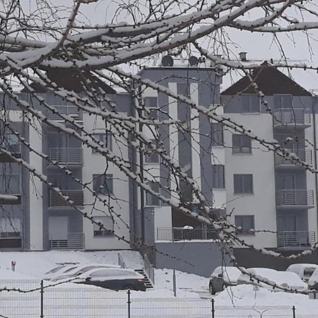 Apartament Szary Wilk Świeradów-Zdrój Extérieur photo