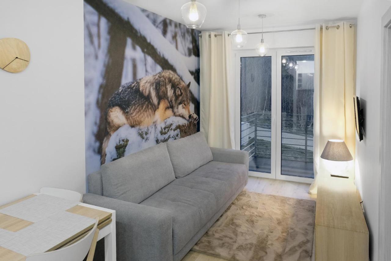 Apartament Szary Wilk Świeradów-Zdrój Extérieur photo