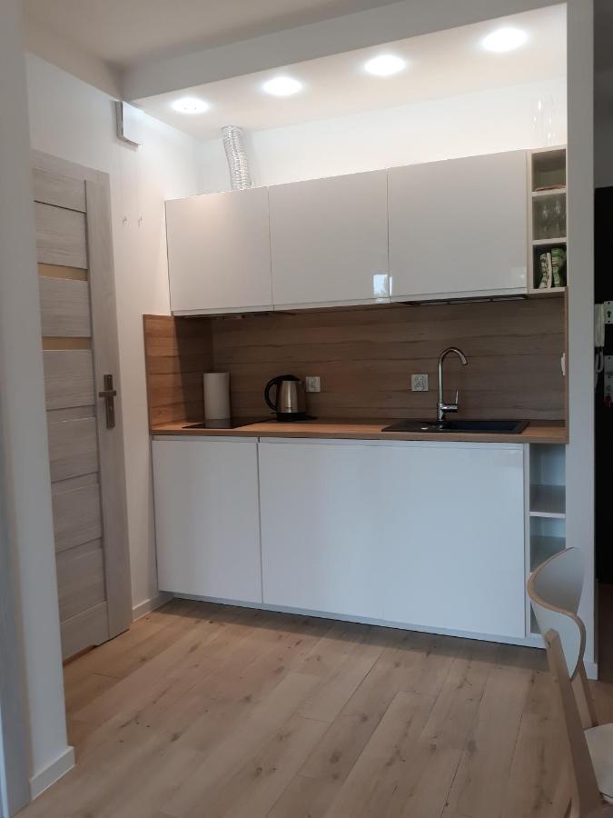Apartament Szary Wilk Świeradów-Zdrój Extérieur photo