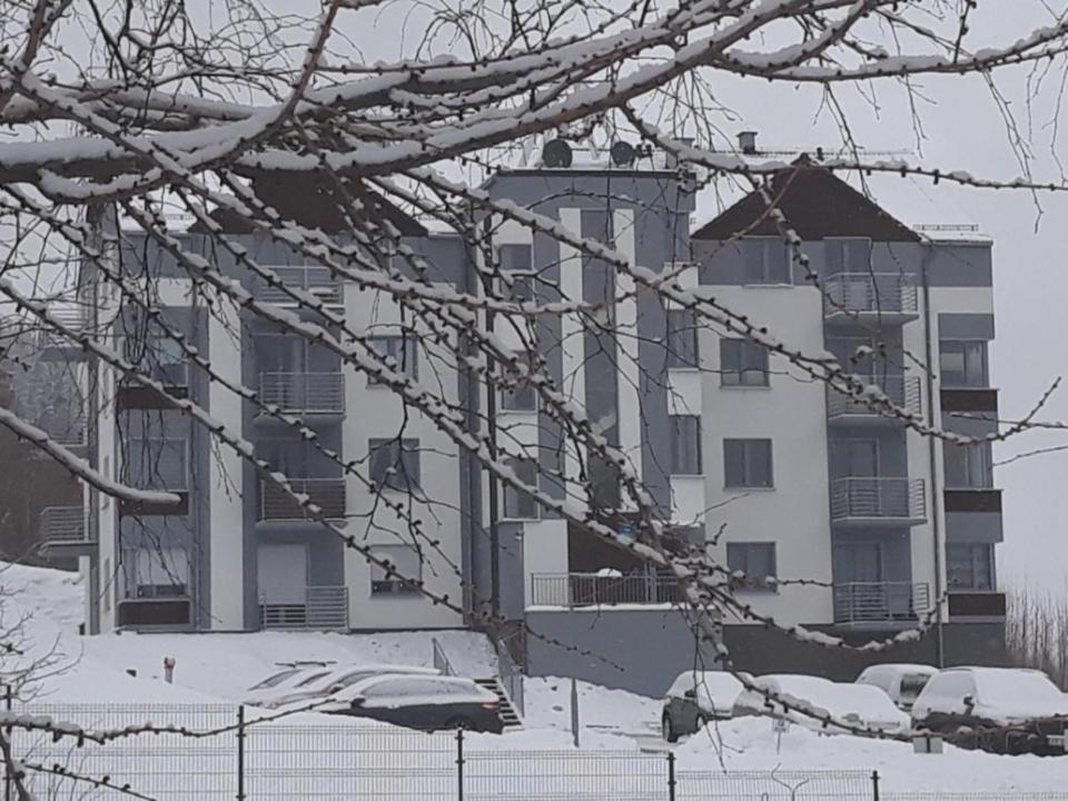 Apartament Szary Wilk Świeradów-Zdrój Extérieur photo
